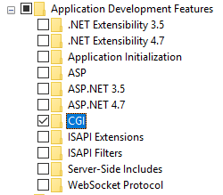 Server 2016 CGI Feature