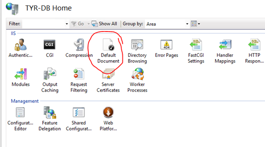 Default Document