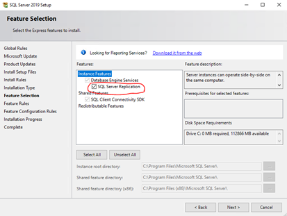 SQL Server Replication feature